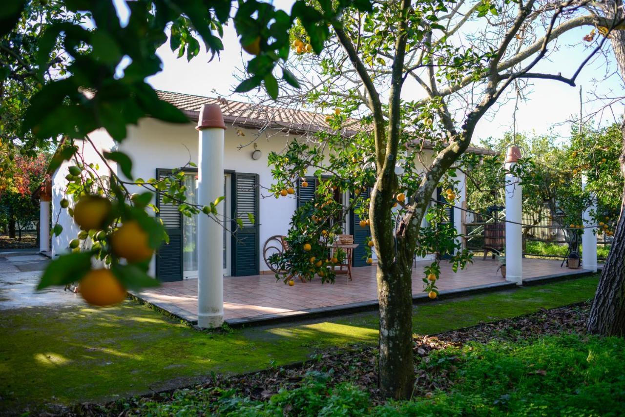 Agriturismo Piccolo Canyon Apartment Piano di Sorrento Exterior photo